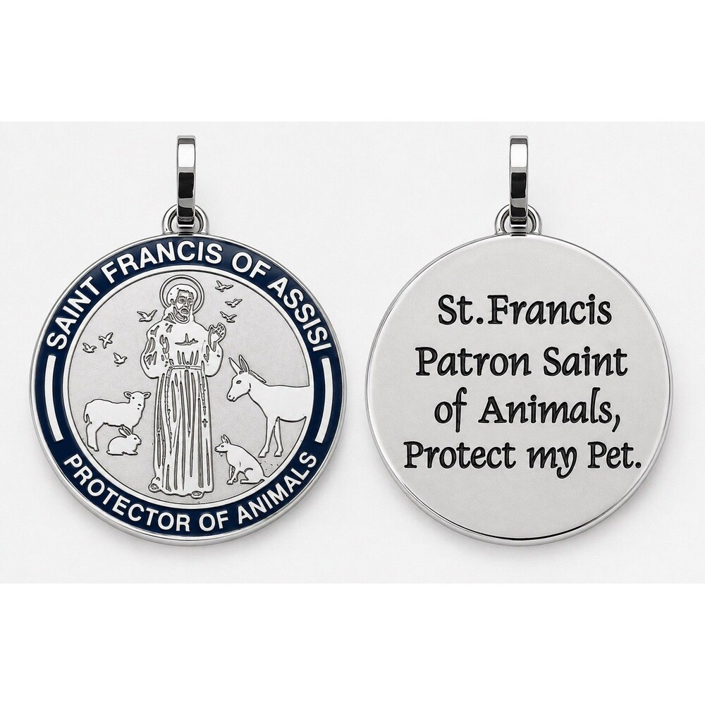 Saint Francis Protector of Animals Necklace Protect my Pet Stainless Steel - Picture 3 of 6